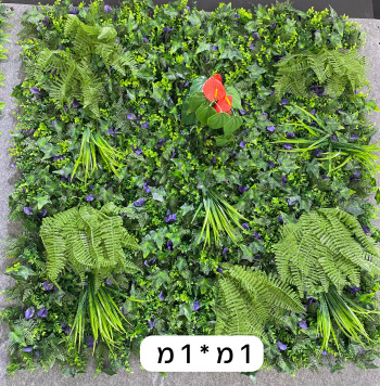 וורדים