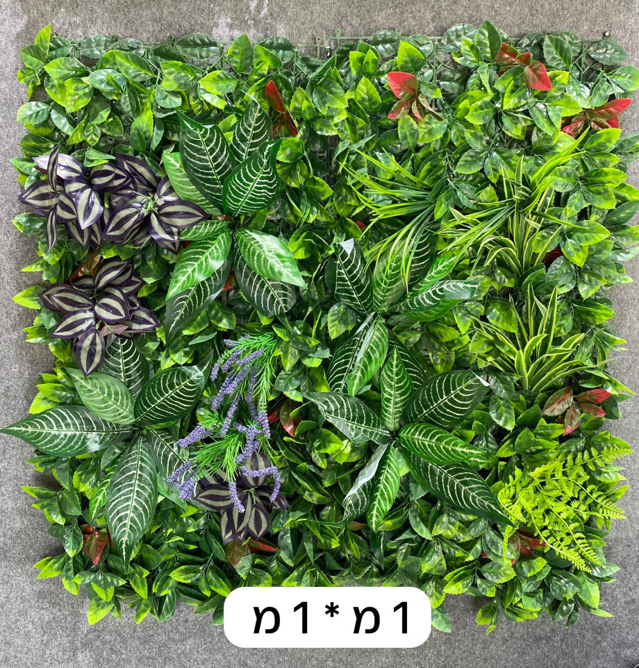 וורדים