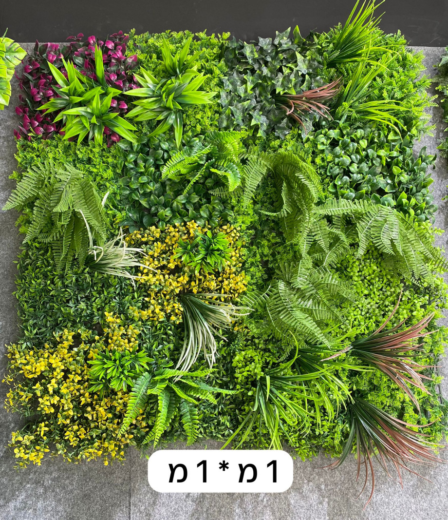 וורדים
